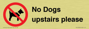 No Dogs upstairs please 